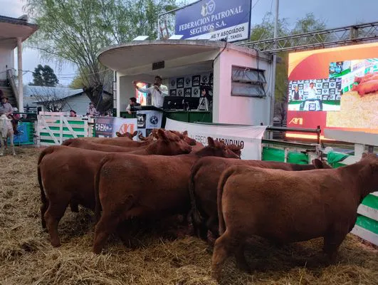 tn_IMG_20240907_183400688_HDR