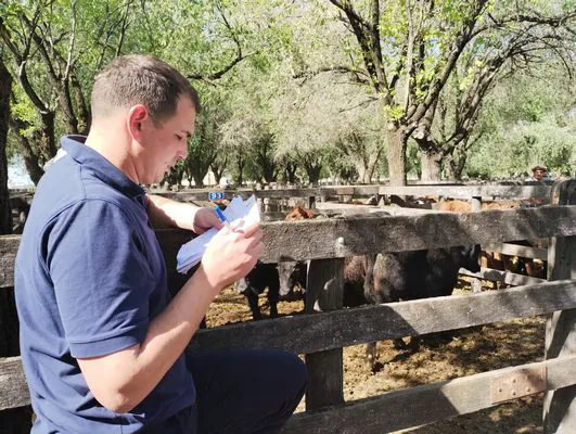 tn_IMG_20241008_153420392