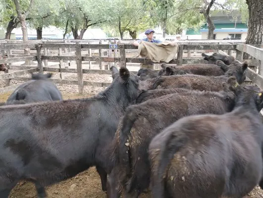 tn_IMG_20240306_152119843