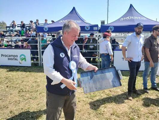 tn_IMG_20240918_124221986_HDR