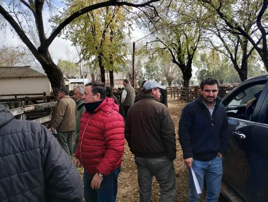 tn_IMG_20240529_121208533_HDR