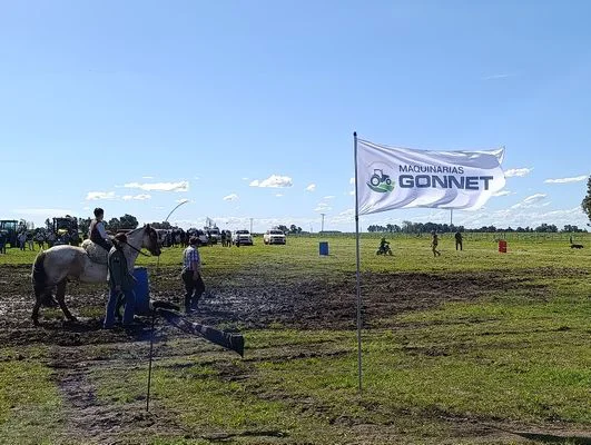 DG11