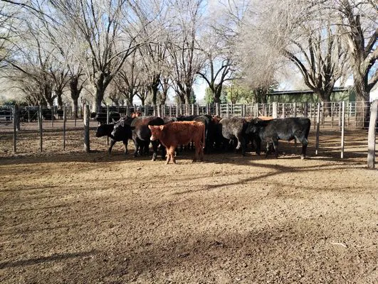 tn_IMG_20240628_151137358