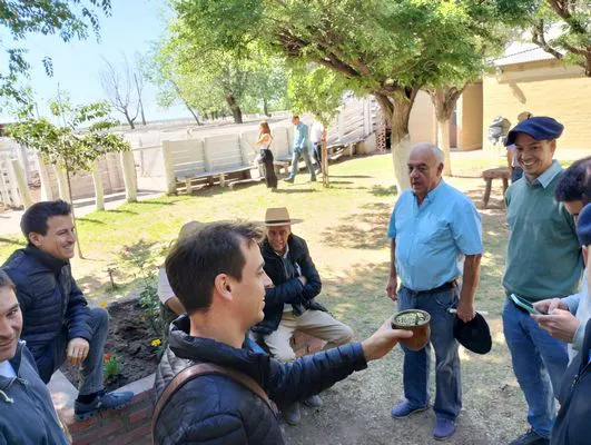 tn_IMG_20241026_104556178_HDR