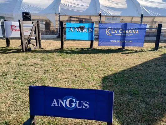 tn_IMG_20240711_120038163_HDR