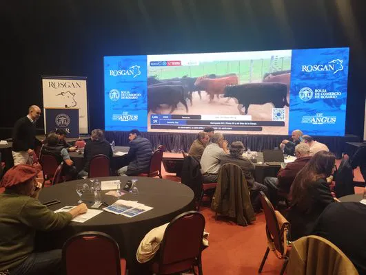 tn_IMG_20250519_121238962