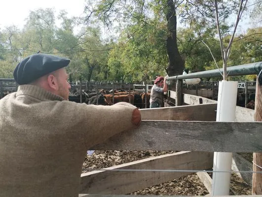 tn_IMG_20250514_131820873