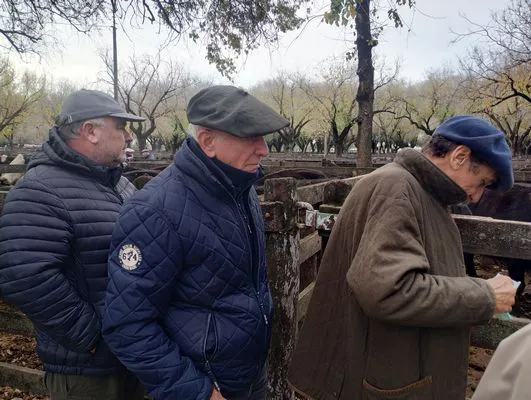 tn_IMG_20250602_153243837_HDR