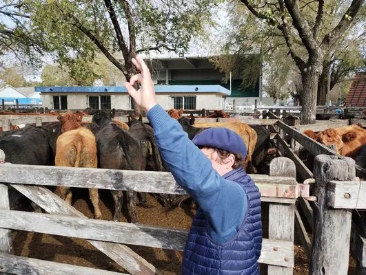 tn_IMG_20240529_121051610