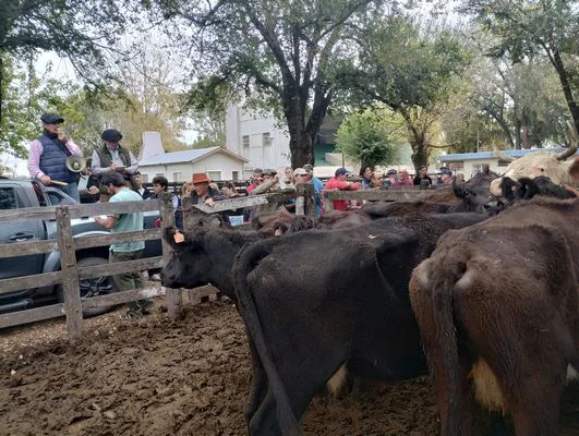 tn_IMG_20250425_154847606_HDR