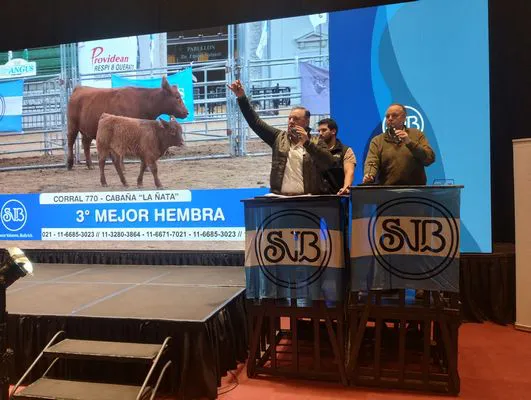 tn_IMG_20250521_210236790_HDR