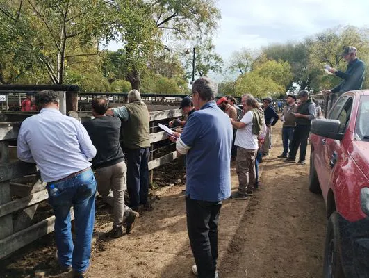 tn_IMG_20250514_130749120_HDR