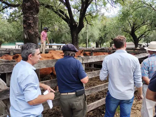 tn_IMG_20240221_124804900