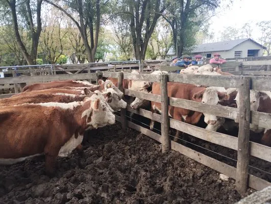 tn_IMG_20250505_161006042