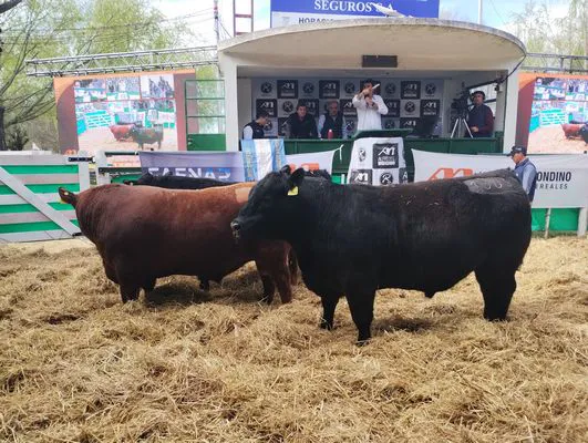 tn_IMG_20240907_152749474