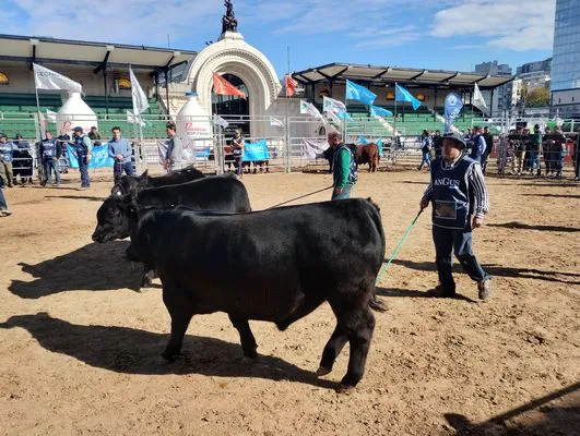 tn_IMG_20250521_130225840_HDR