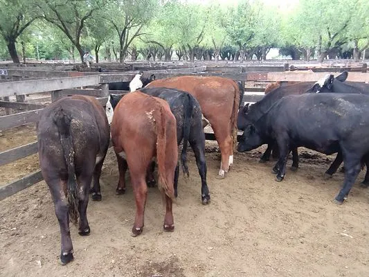 tn_IMG_20250116_150400880