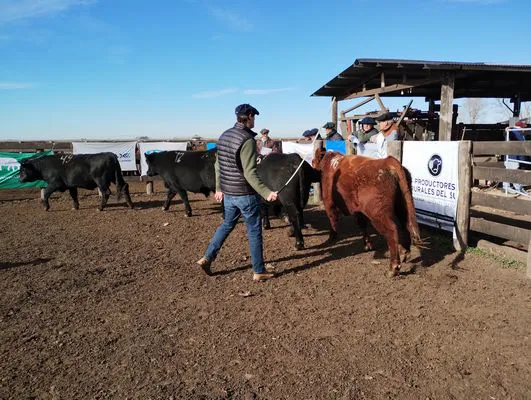 tn_IMG_20240611_114211219