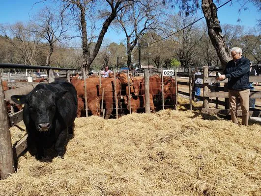 tn_IMG_20240925_113920361