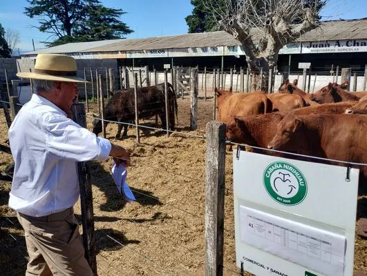 tn_IMG_20240912_133150621_HDR