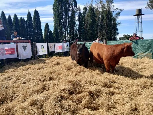 tn_IMG_20240924_150201272_HDR