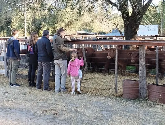 tn_IMG_20240501_164022660