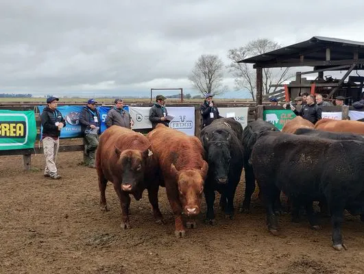 tn_IMG_20240806_123230420_HDR