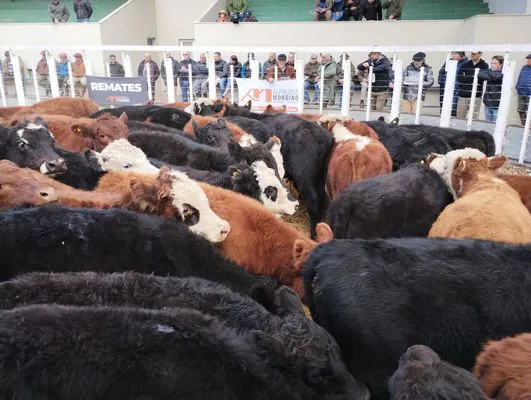 tn_IMG_20240529_134607912_HDR