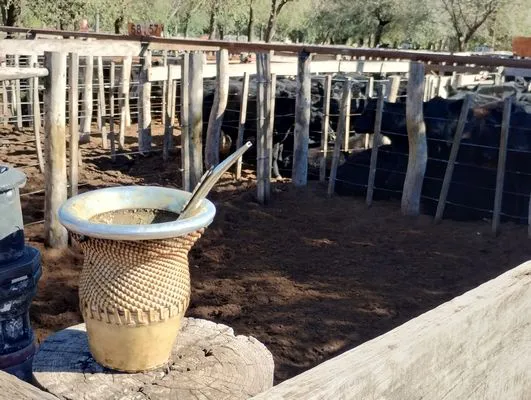 tn_IMG_20240405_104256238_HDR