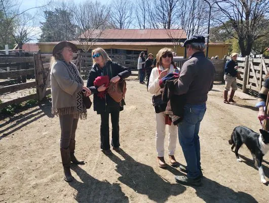 tn_IMG_20240906_124634830