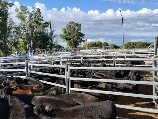 tn_IMG_20240406_163910528_HDR