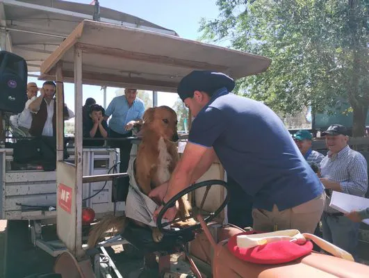 tn_IMG_20241026_110624055