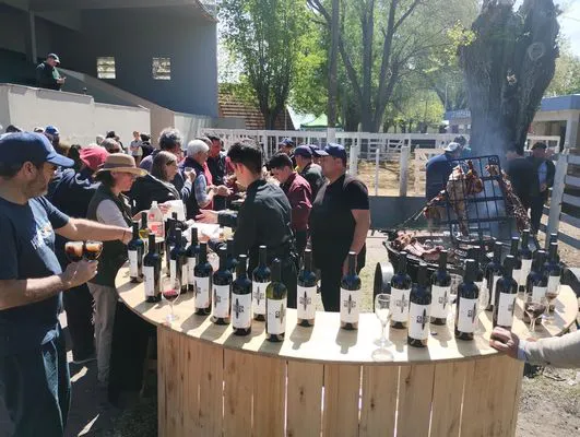 tn_IMG_20241008_141115102