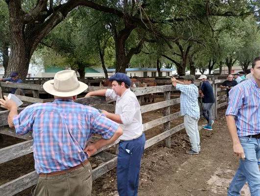 tn_IMG_20240306_151004668_HDR