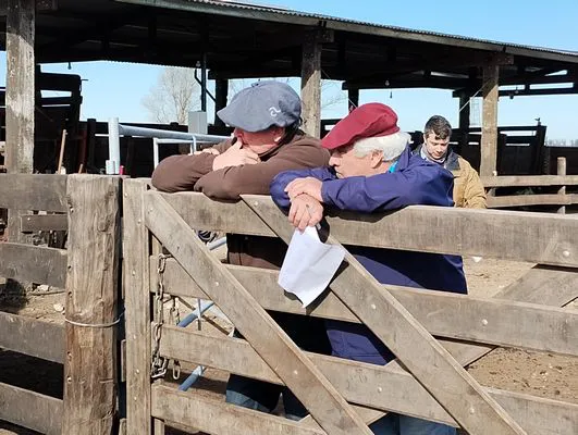 tn_IMG_20240611_120946082