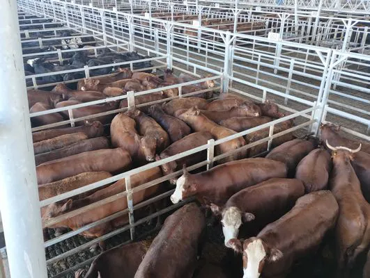 tn_IMG_20240916_083652588