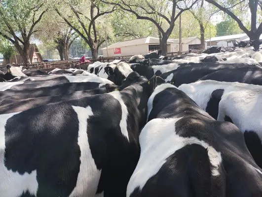 tn_IMG_20241008_150125694