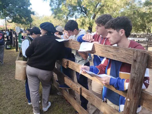 tn_IMG_20250508_151803956