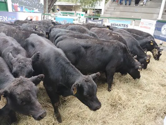 tn_IMG_20240322_161948192