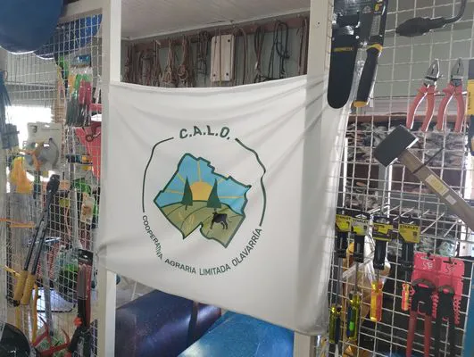 tn_IMG_20240321_110420261