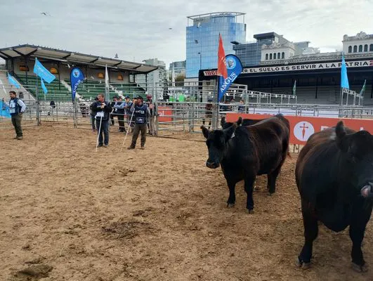 tn_IMG_20250521_134231331_HDR