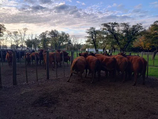 tn_IMG_20250505_172138995_HDR