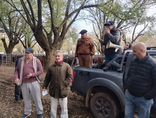 tn_IMG_20250602_165530584_HDR