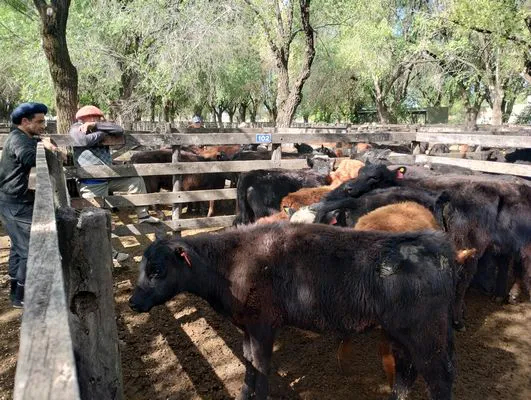 tn_IMG_20241008_154102564_HDR