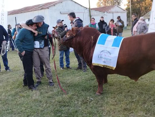 ROMERO8