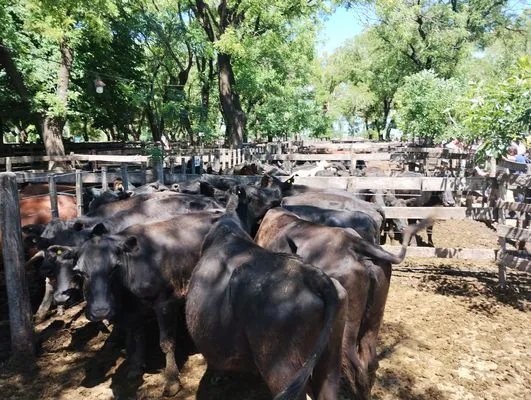 tn_IMG_20241129_142205769_HDR