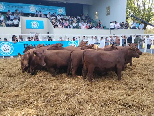 tn_IMG_20241018_165941004