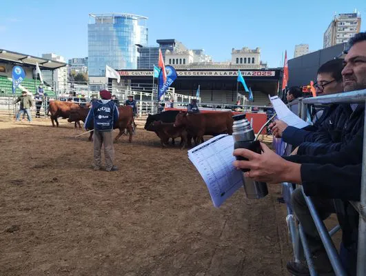 tn_IMG_20250521_102252873