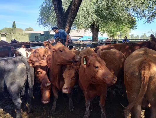 tn_IMG_20240326_140202569_HDR