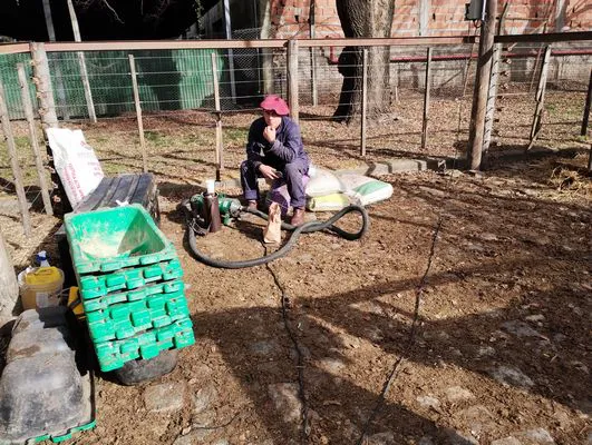 tn_IMG_20240625_120502707